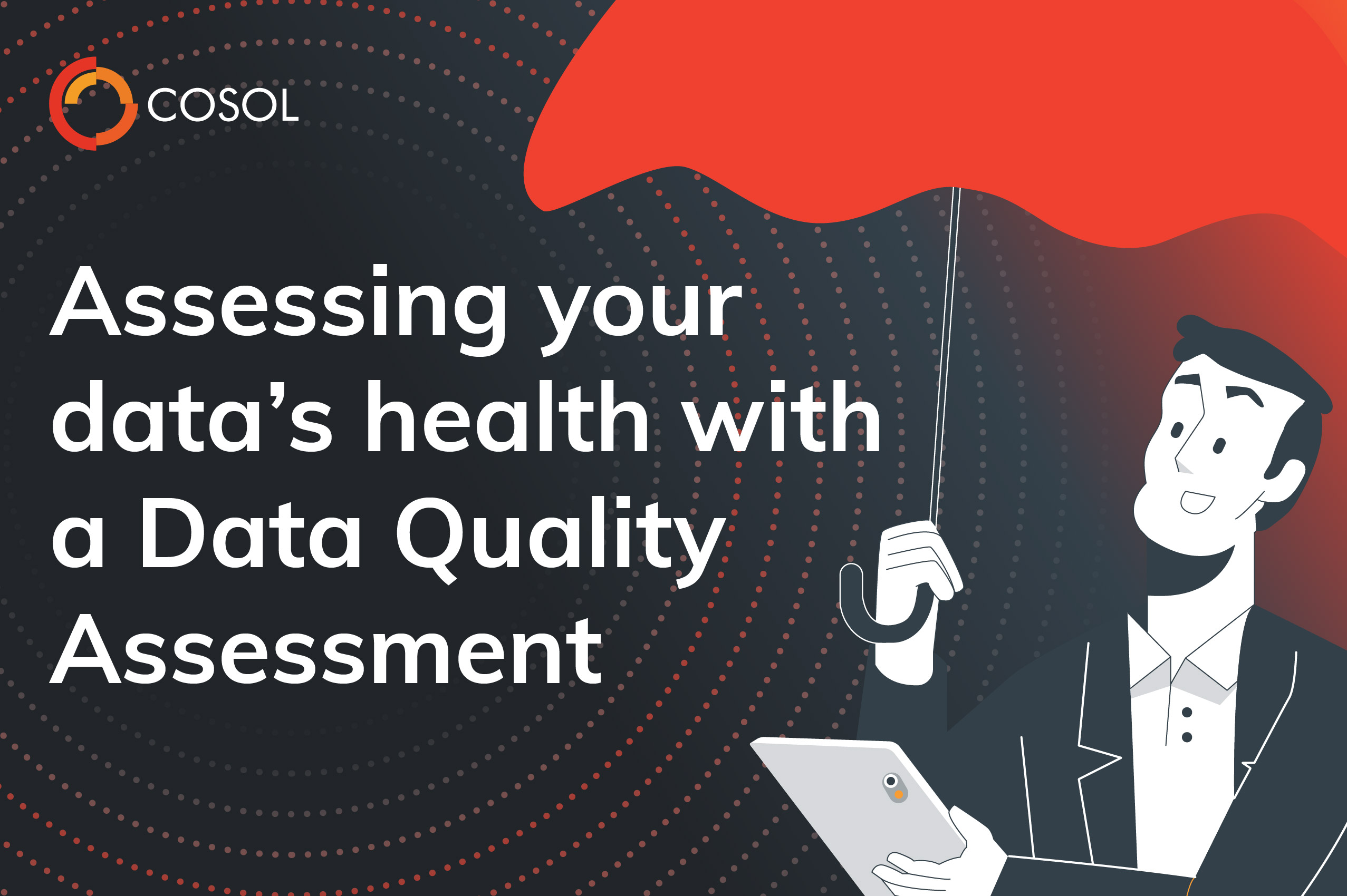 Video thumbnail of the Data Quality Assessment YouTube video