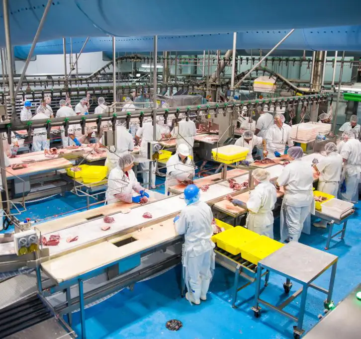Workers at one of Gundagai Meat Processing plants