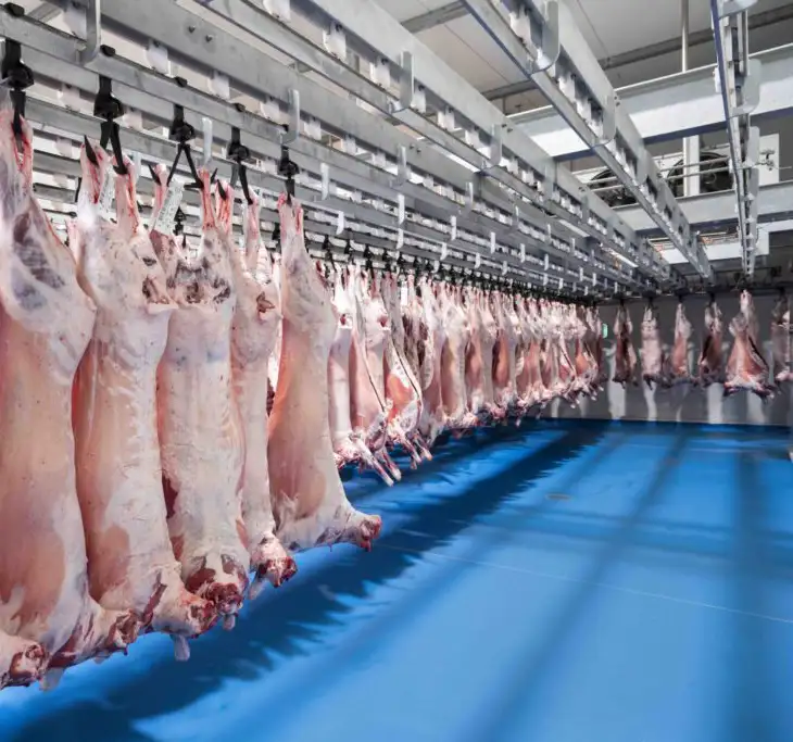 Controlled meat storage rooms at one of Gundagai Meat Processing plants