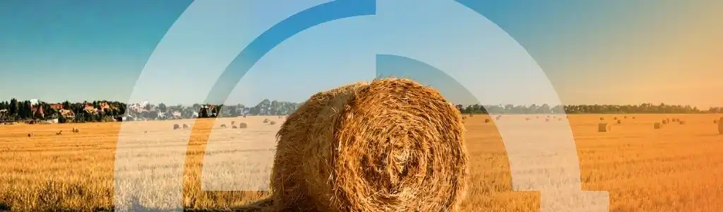 COS-TOU-Smart farms what you need to know – TOUS INT